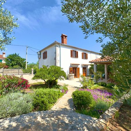 Holiday Home Lavanda Kornić Kültér fotó