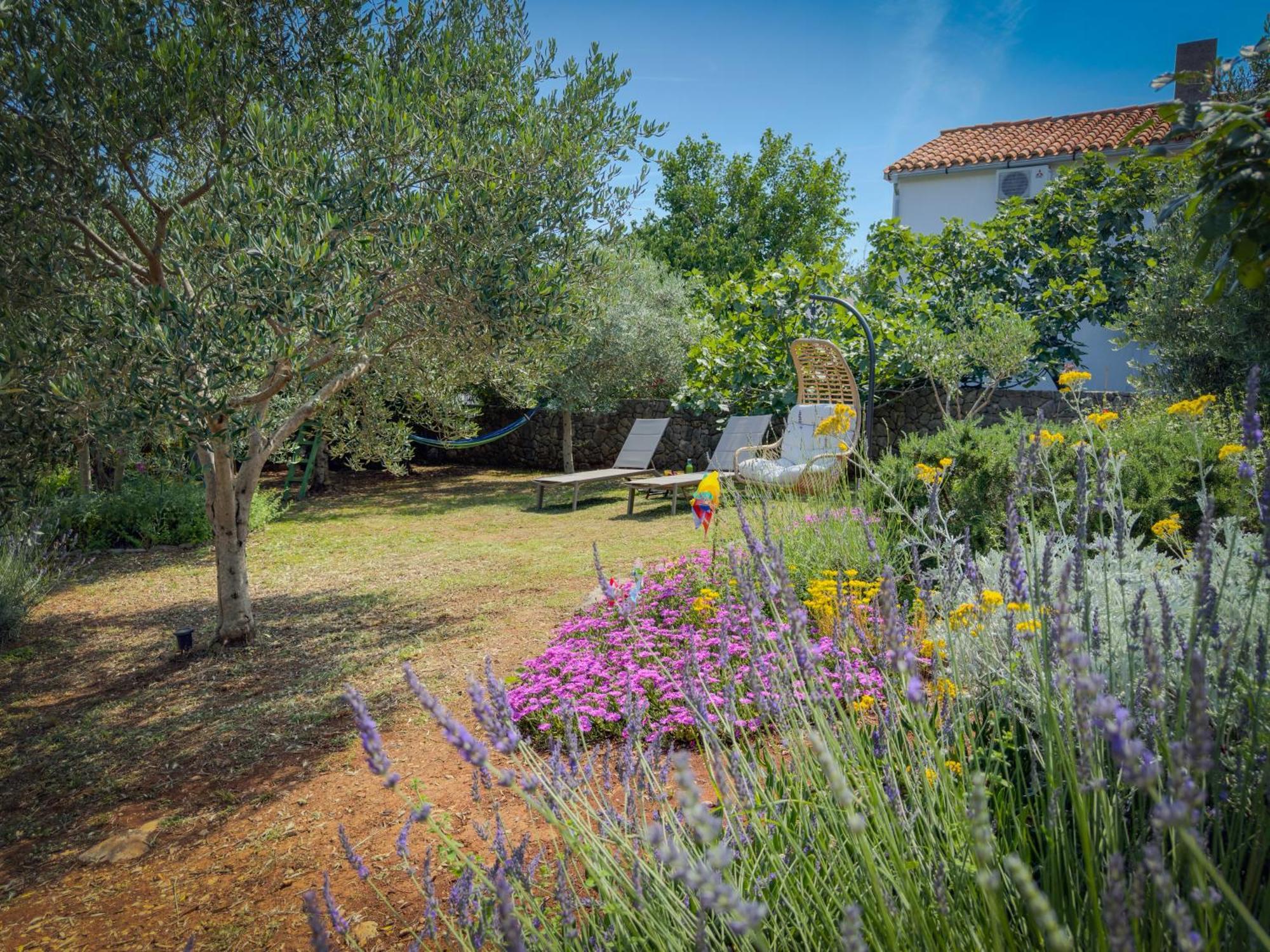 Holiday Home Lavanda Kornić Kültér fotó