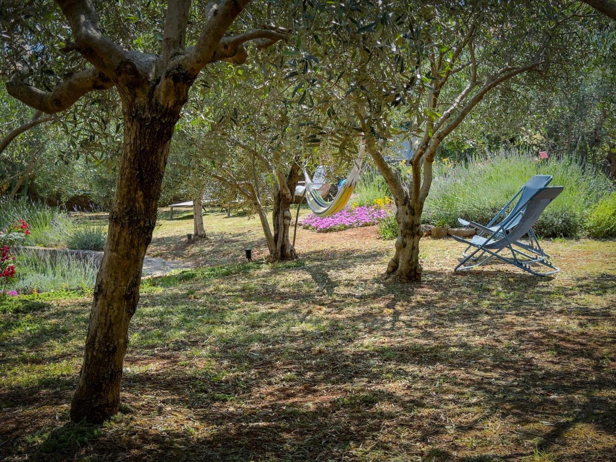 Holiday Home Lavanda Kornić Kültér fotó
